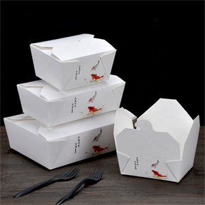 Paper Lunch Boxes