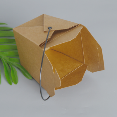 Kraft Paper Noodle Takeout Box with Handle