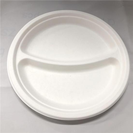 Bagasse Plates with Compartments