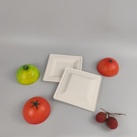 Square bagasse disposable plate