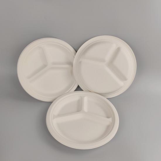 Biodegradable bagasse plates manufacturing