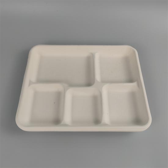 bagasse plate disposable