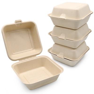 take out bagasse food containers lunch box