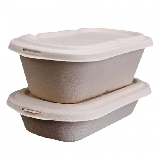 bagasse food containers takeaway with lid